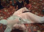 IMG_0443 IMG_0443
