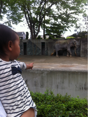井の頭公園へ。