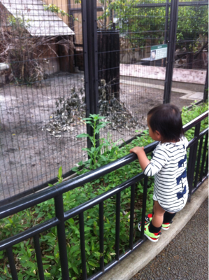 井の頭公園へ。
