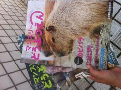 写真 4 写真 4
