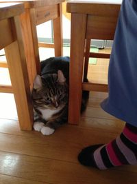 おじいちゃんおばあちゃん家へ おじいちゃんおばあちゃん家へ