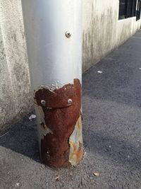 今日の原宿もろもろ番外編 今日の原宿もろもろ番外編