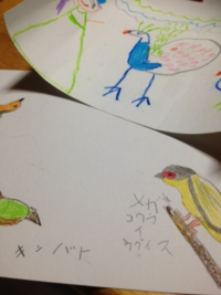 写真 1 写真 1