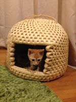 IMG_3130 IMG_3130