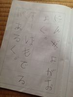 IMG_9436 IMG_9436
