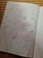 IMG_9437 IMG_9437